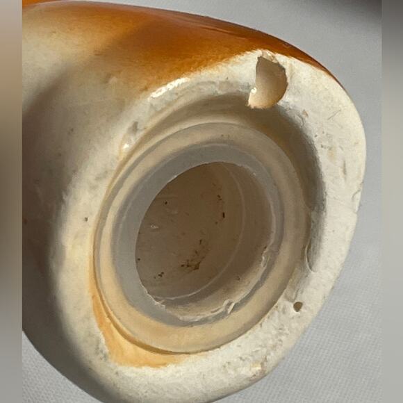 Vintage Ceramic Kangaroo & Joey Salt &‎ Pepper Shaker Set - Picture 13 of 14